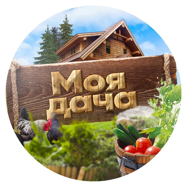 dacha_my avatar
